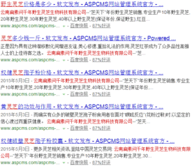 企业网络营销与品牌推广的全方位策划方案